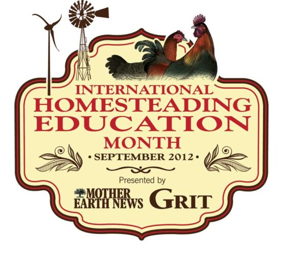 Modern Homesteading: Building Community